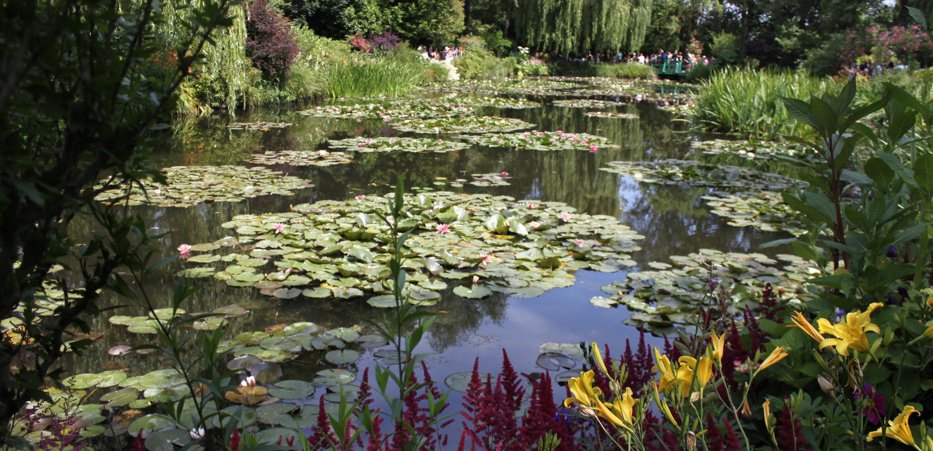 circuit_giverny_nénuphares