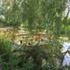 circuit_giverny_verdure