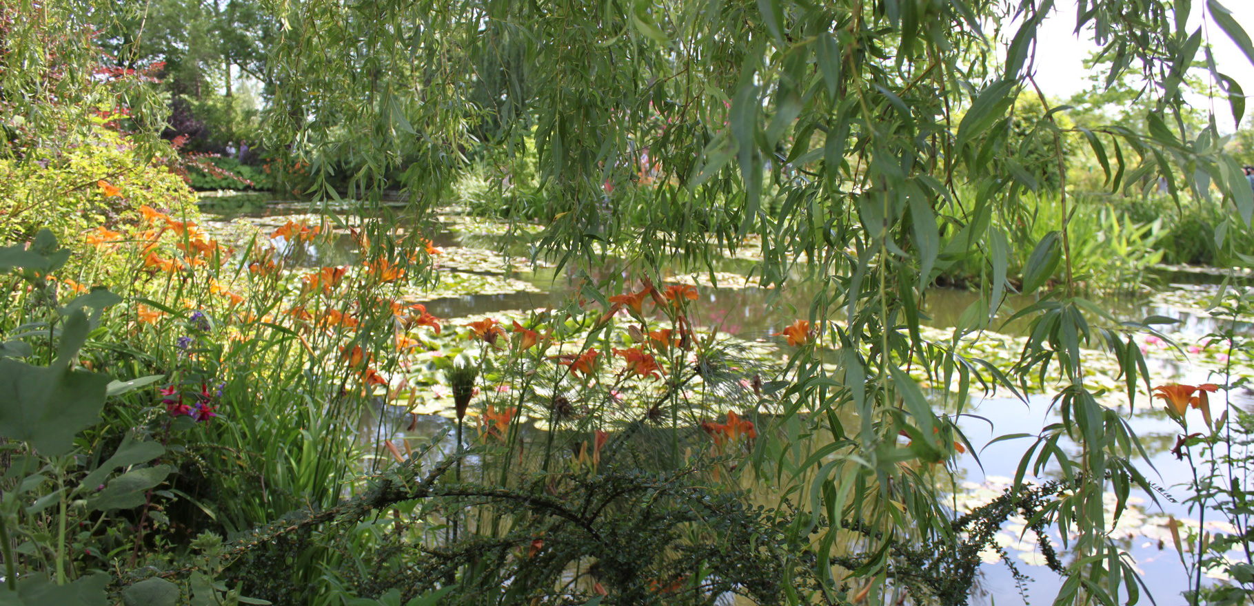 circuit_giverny_verdure