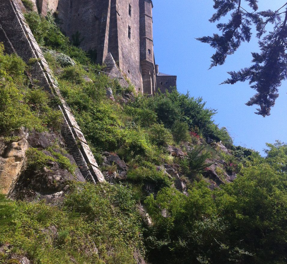 circuit_saintmichel_Verdure